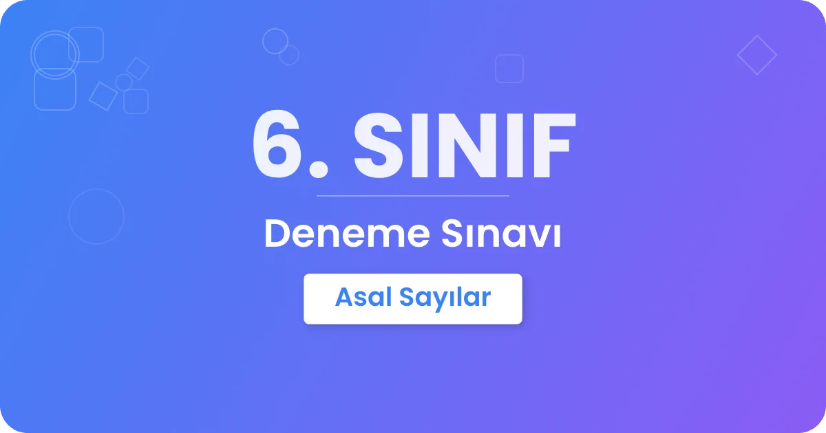 Asal Sayılar kapak görseli